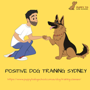 Positive Dog Training Sydney