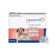Evicto Spot-On Flea & Worm Treatment for Dogs